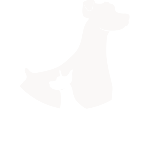 Good Boys Studios Logo